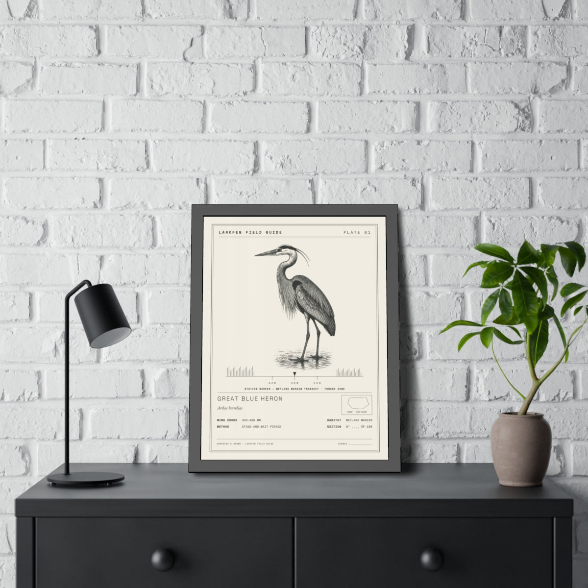 The Wetland Transect — the Great Blue Heron plate, dark-framed and matted, on a white-brick wall over a dark dresser with a lamp and a plant.