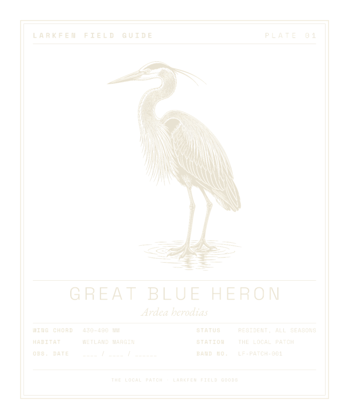 Great Blue Heron study plate, dark ink on cream, shown on its Bay garment colorway as the reference figure for the method.