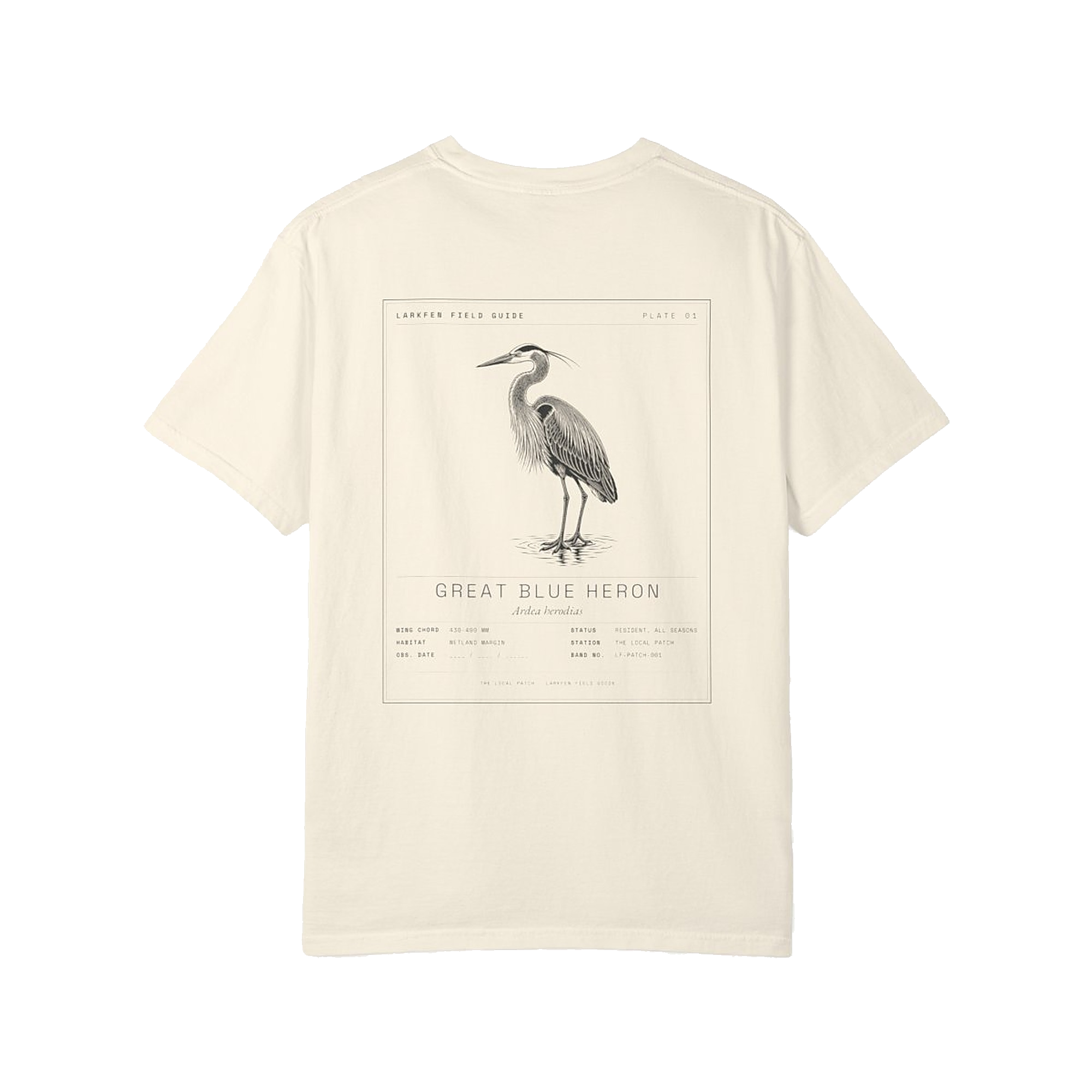 Great Blue Heron tee — full plate across the back, on Comfort Colors Ivory.