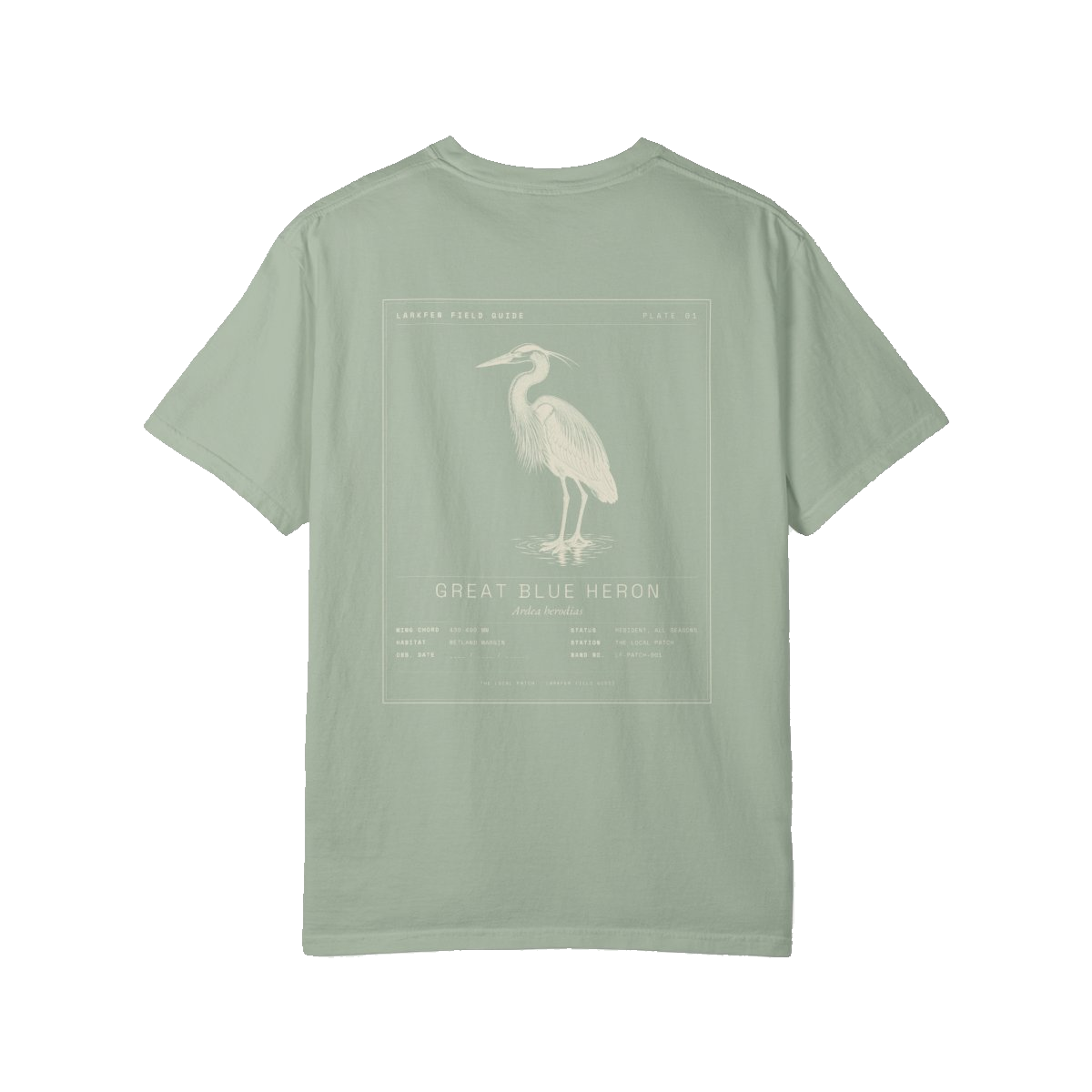 Great Blue Heron field tee in Bay — the full specimen plate printed across the back, on garment-dyed Comfort Colors 1717.
