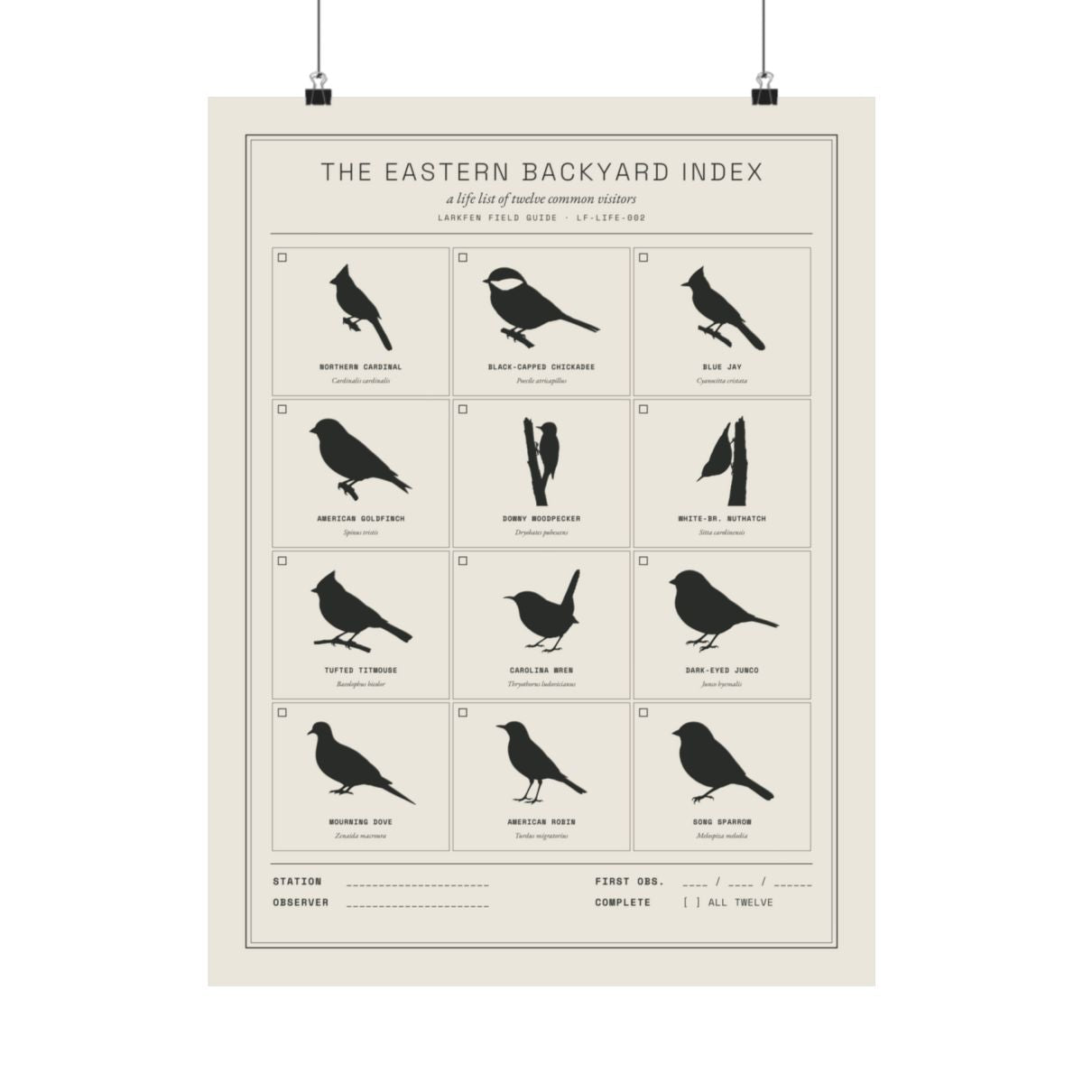 The Eastern Backyard Index poster, the full 12-species grid.